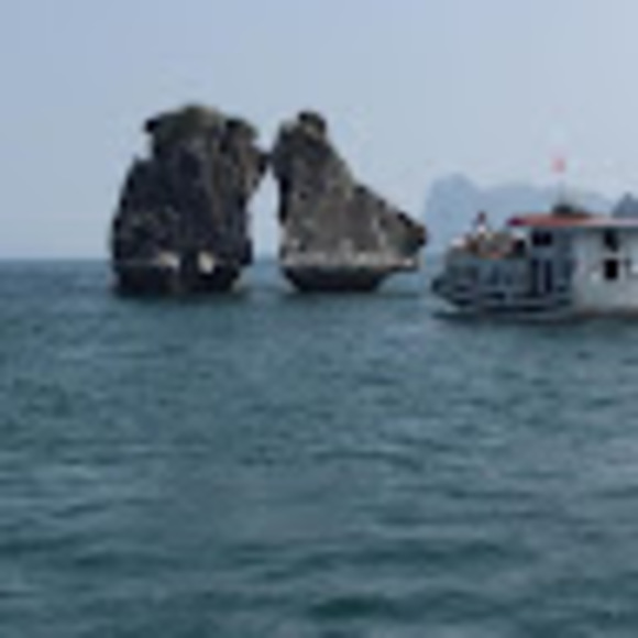 amynguyen656